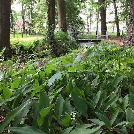Landgoed Groeneveld *