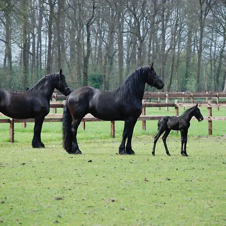 Landgoed Groeneveld